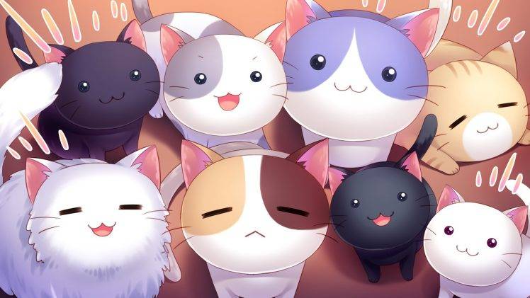 cat, Nyan Cafe Macchiato, Visual Novel HD Wallpaper Desktop Background