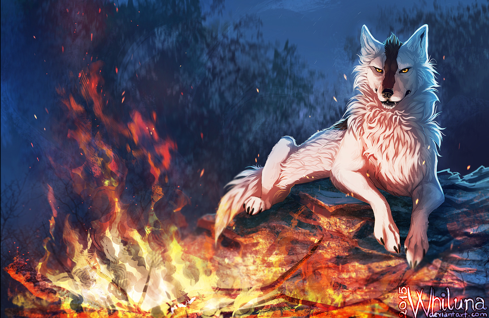 furry, Anthro, Animals, Wolf Wallpaper