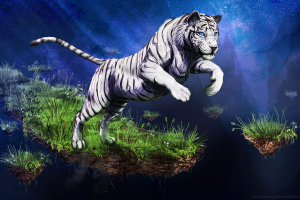 animals, White Tigers
