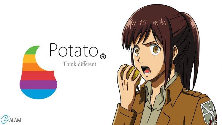 Shingeki No Kyojin, Blouse Sasha, Anime, Anime Girls HD Wallpaper Desktop Background