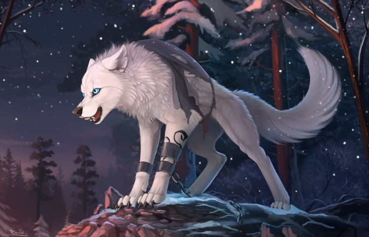 furry, Wolf, Animals HD Wallpaper Desktop Background
