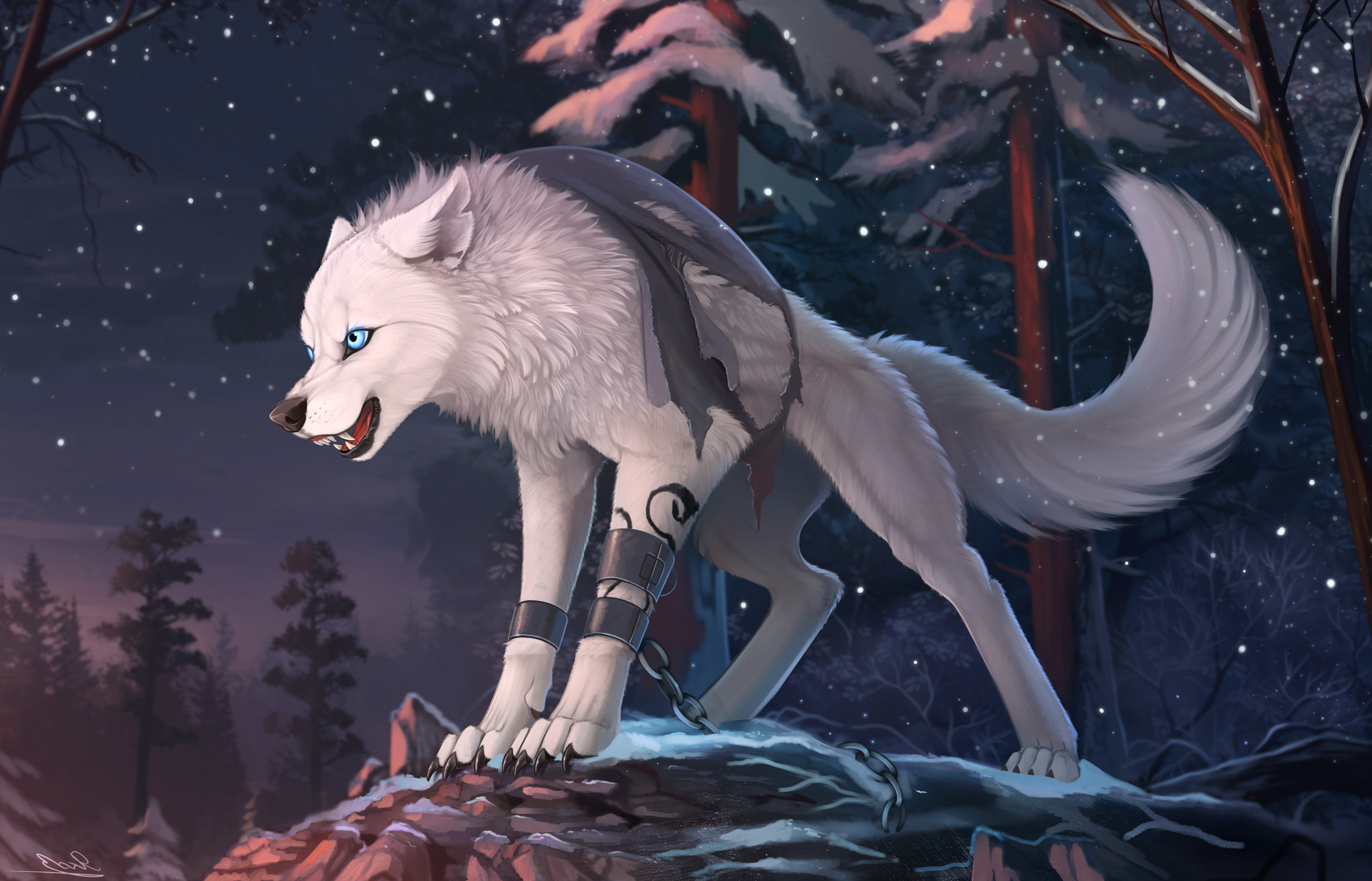 furry, Wolf, Animals Wallpaper