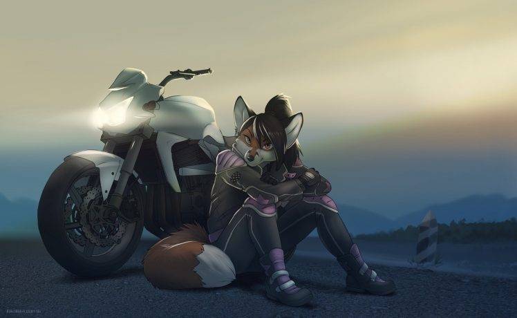 furry, Anthro, Motorcycle HD Wallpaper Desktop Background