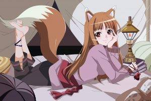 anime, Anime Girls, Holo, Spice And Wolf