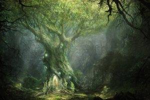fantasy Art, Forest
