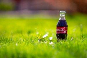 Coca Cola, Bottles, Grass, Flowers, Drink