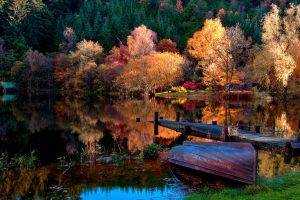 lake, Trees, Forest, Dock, Boat, Nature, Reflection