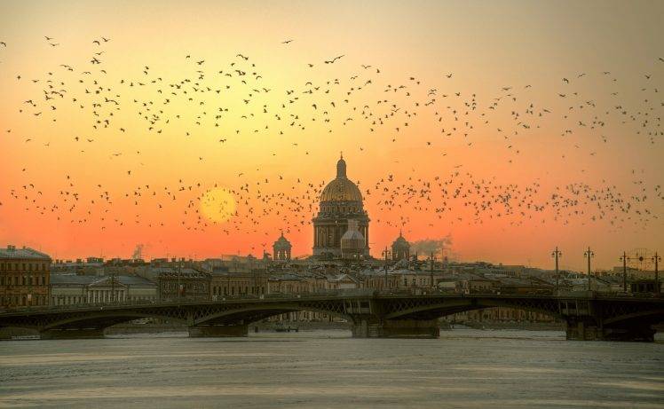 cityscape, Sun, Sunset, River, Bridge, St. Petersburg, Russia, Cathedral, Architecture, Building, Birds, Leningrad HD Wallpaper Desktop Background