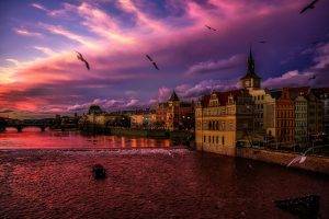 city, Cityscape, Lights, Evening, Prague, Czech Republic, River, Bridge, Sunset, Birds, Waves, Old Building, Church, Clouds, Reflection