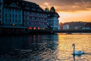 Switzerland, Lake, Building, Swans, Birds, Water, Sunlight, Bridge