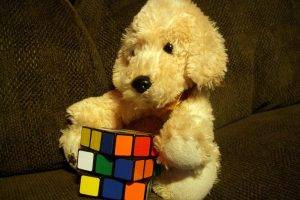 stuffed Animals, Couch, Rubiks Cube