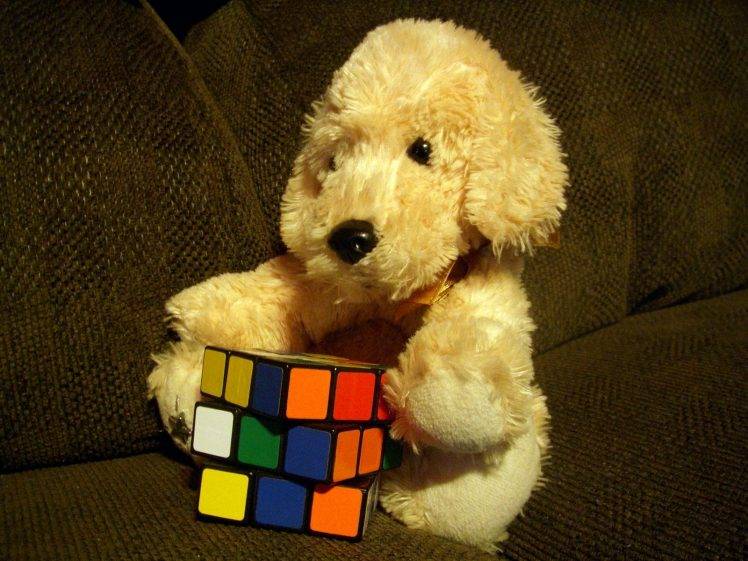stuffed Animals, Couch, Rubiks Cube HD Wallpaper Desktop Background