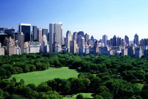 nature, Cityscape, New York City, USA, Central Park, Trees, Grass, Building, Skyscraper, Park