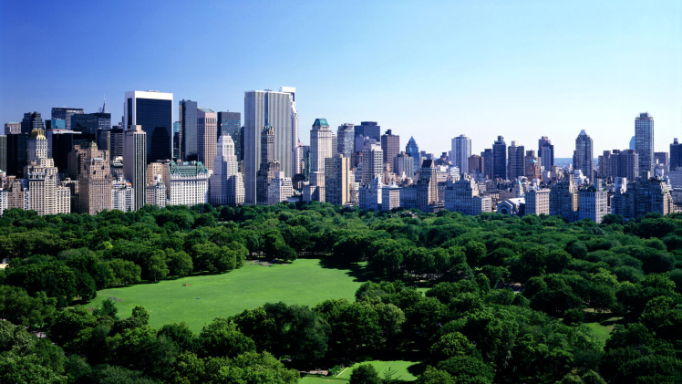 nature, Cityscape, New York City, USA, Central Park, Trees, Grass, Building, Skyscraper, Park HD Wallpaper Desktop Background