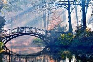 forest, River, Bridge, Trees, Reflection