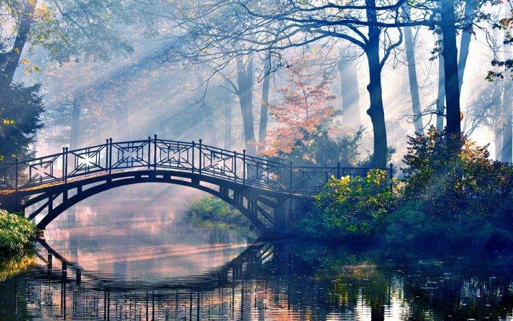 forest, River, Bridge, Trees, Reflection HD Wallpaper Desktop Background