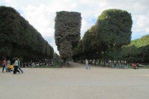 nature, Building, Paris, Park