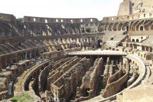 Rome, Italy, Nature, Colosseum