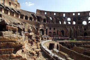 Rome, Italy, Nature, Colosseum