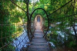 bridge, Nature