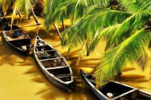 nature, Water, Boat, River, Palm Trees, India, Flood, Sunlight, Shadow, Wood