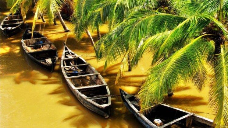 nature, Water, Boat, River, Palm Trees, India, Flood, Sunlight, Shadow, Wood HD Wallpaper Desktop Background