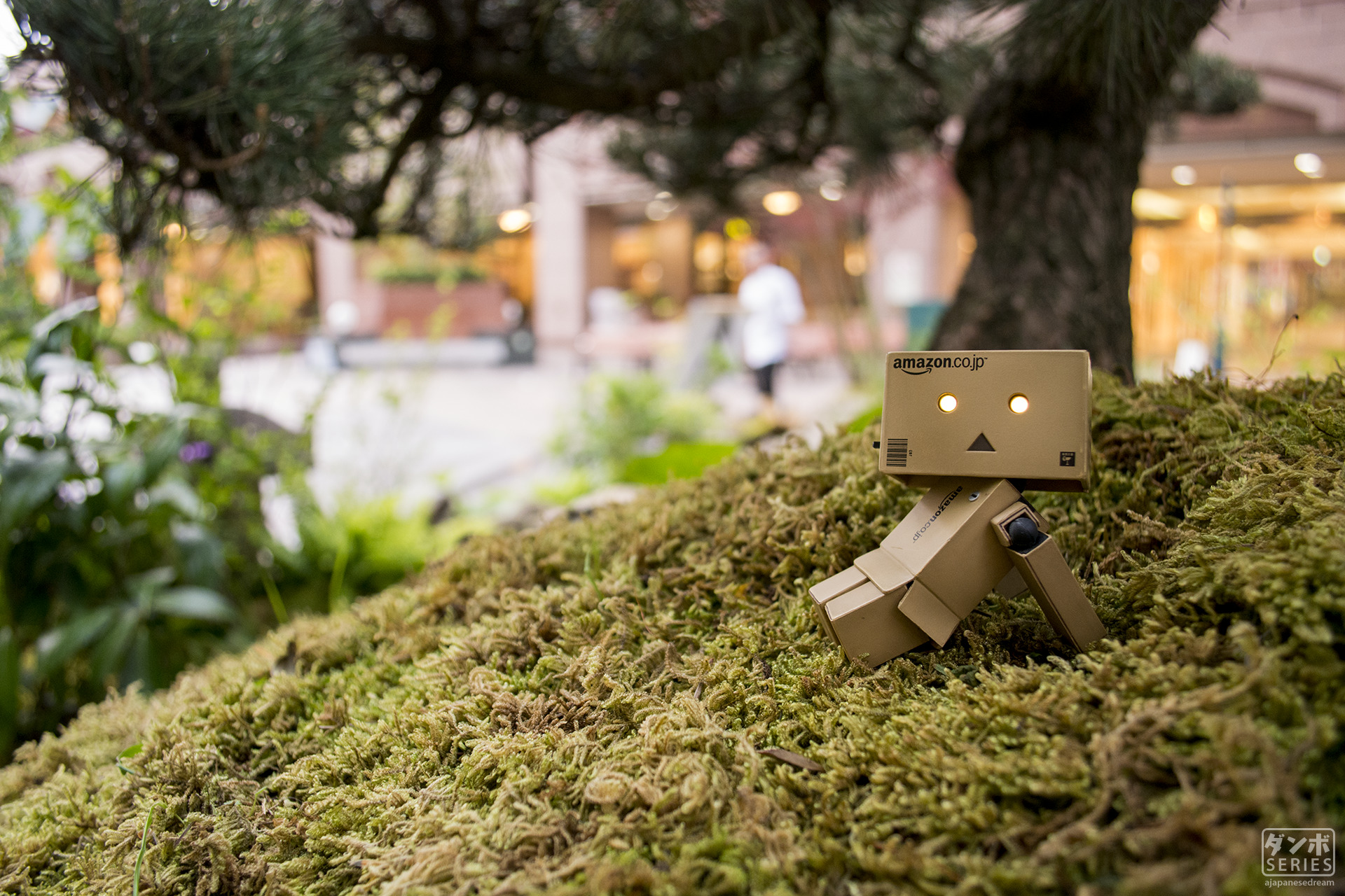 Danbo, Japan, Japanese, Japanese Garden, Nature, Tokyo, Osaka, Night, Relaxing, Anime, Amazon Wallpaper