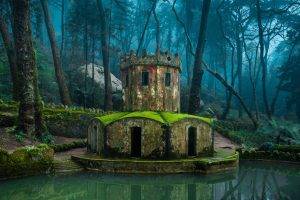 nature, Architecture, Forest, Old Building, Water, Lake, Tower, Reflection
