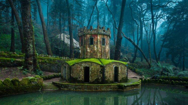 nature, Architecture, Forest, Old Building, Water, Lake, Tower, Reflection HD Wallpaper Desktop Background