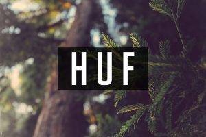 huf, Nature, Writing, Forest