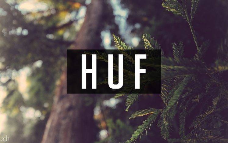 huf, Nature, Writing, Forest HD Wallpaper Desktop Background