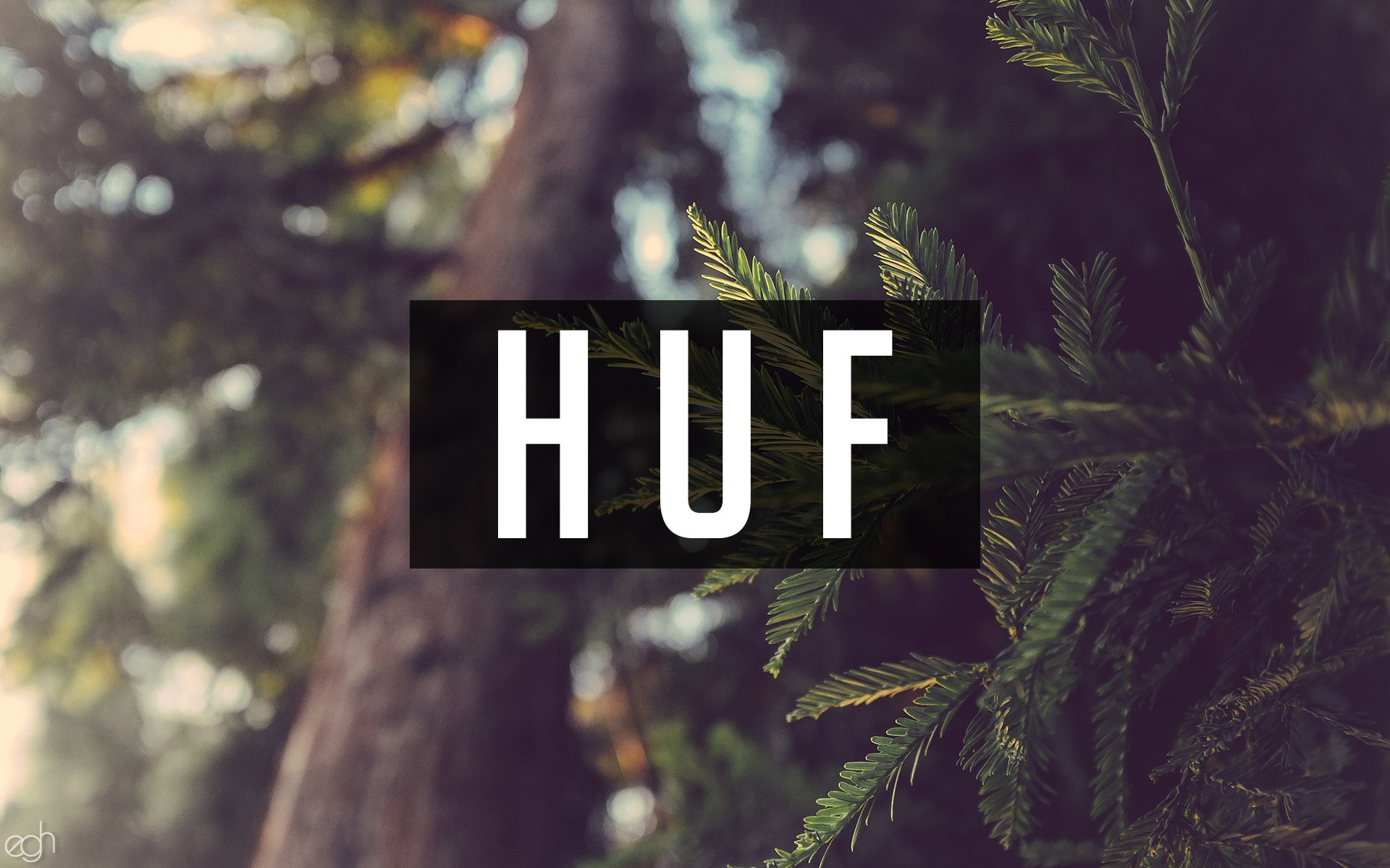 huf, Nature, Writing, Forest Wallpaper