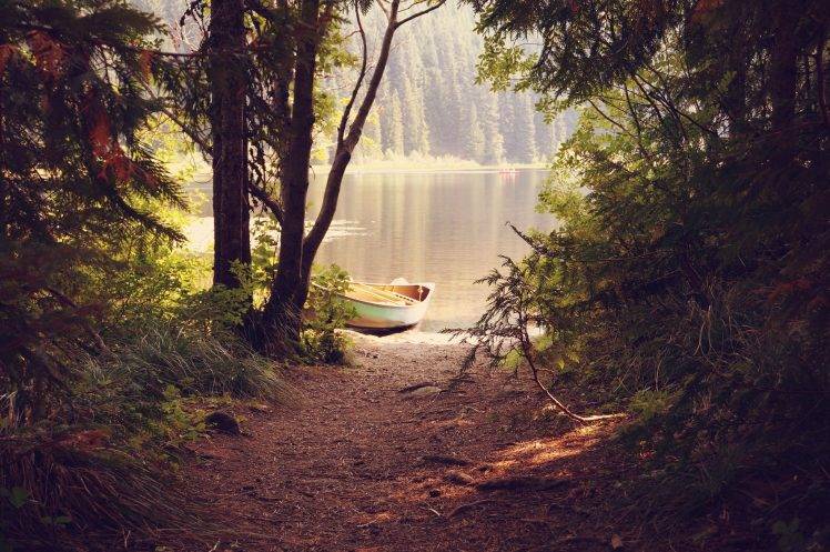 forest, Lake, Boat, Trees, Reflection HD Wallpaper Desktop Background
