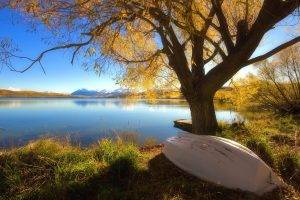 trees, Lake, Boat