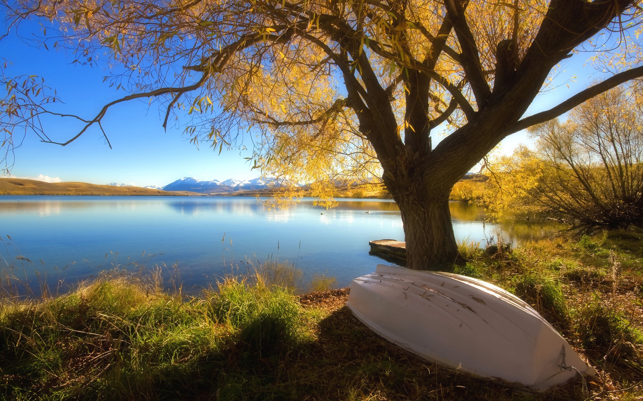 trees, Lake, Boat Wallpaper