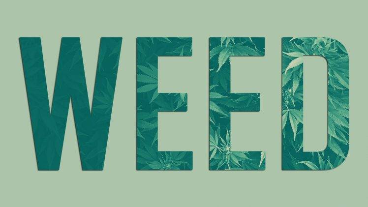 cannabis, Nature, Smoke, Herb HD Wallpaper Desktop Background