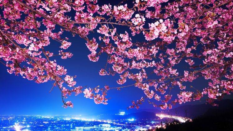 flowers, Cityscape, Tokyo, Cherry Blossom HD Wallpaper Desktop Background