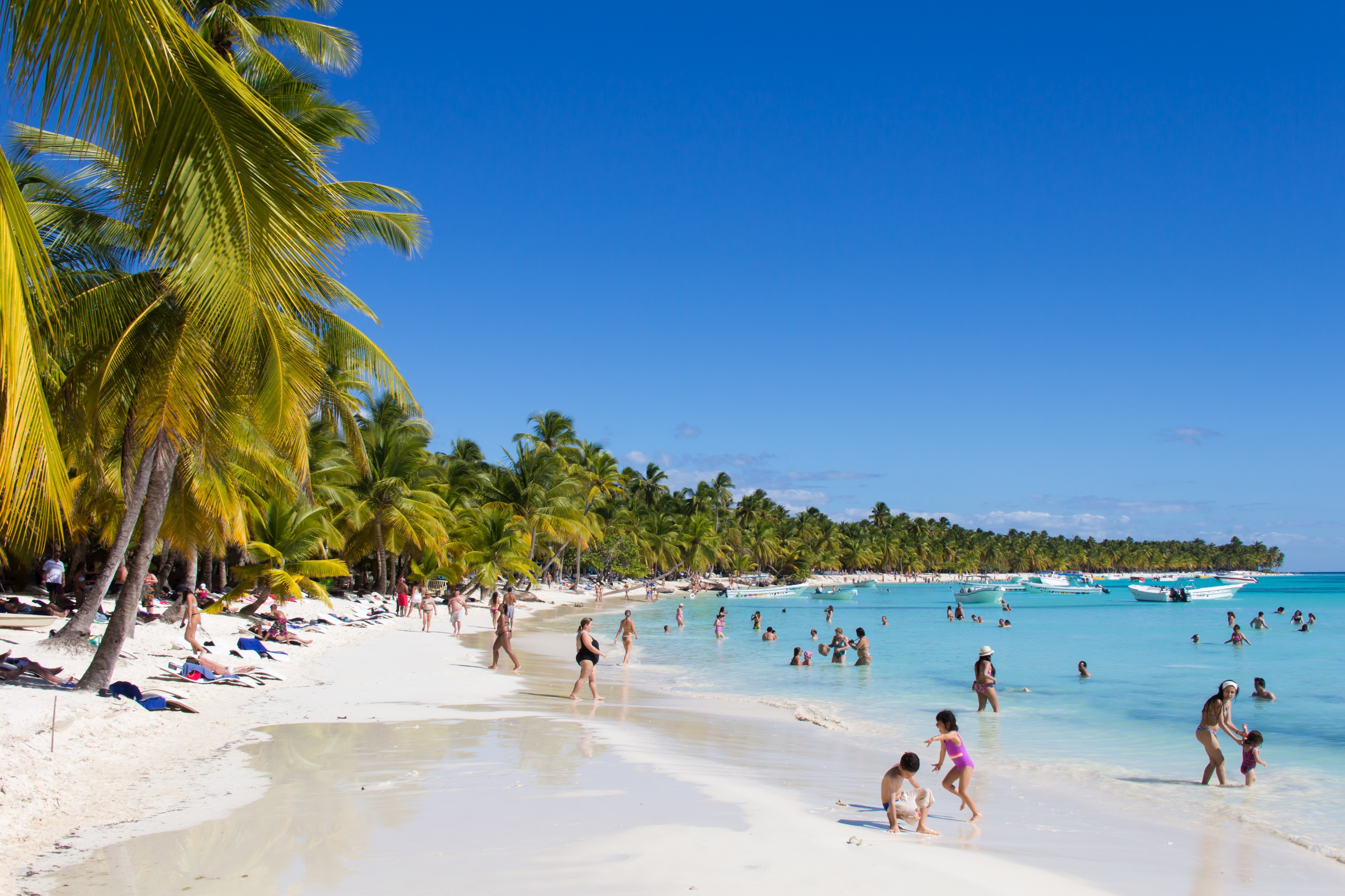 beach, Nature, Palm Trees Wallpaper