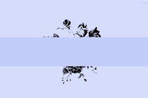 simple, Simple Background, Flowers, Blue