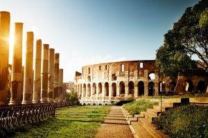 architecture, Nature, Trees, Sun, Pillar, Stone, Colosseum, Rome, Italy, Capital, Stairs, Sunlight, Path, Field, Grass, Arena, Arch, Building, Monuments