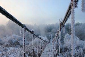 winter, Ice, Nature, Bridge