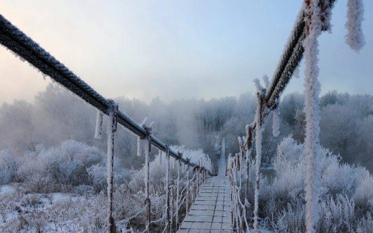 winter, Ice, Nature, Bridge HD Wallpaper Desktop Background