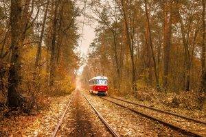 nature, Trees, Leaves, Vehicle, Tram, Railway, Rail Yard, Forest, Branch, Fall, Electricity, Wire, Ukraine