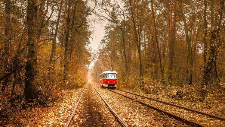 nature, Trees, Leaves, Vehicle, Tram, Railway, Rail Yard, Forest, Branch, Fall, Electricity, Wire, Ukraine HD Wallpaper Desktop Background