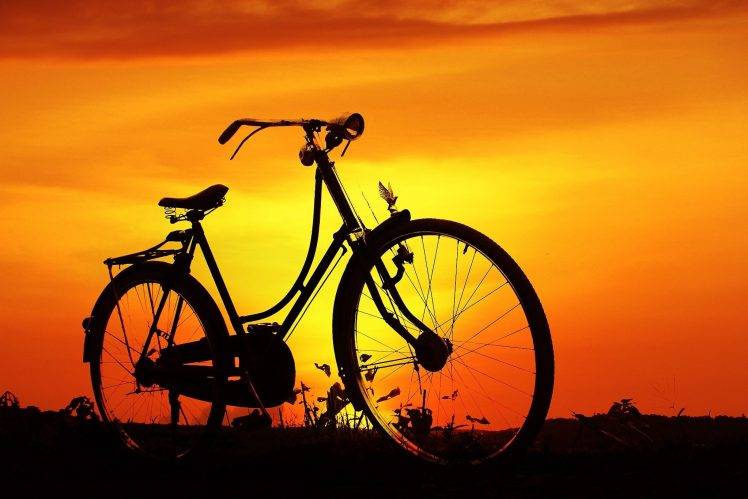 nature, Bicycle HD Wallpaper Desktop Background