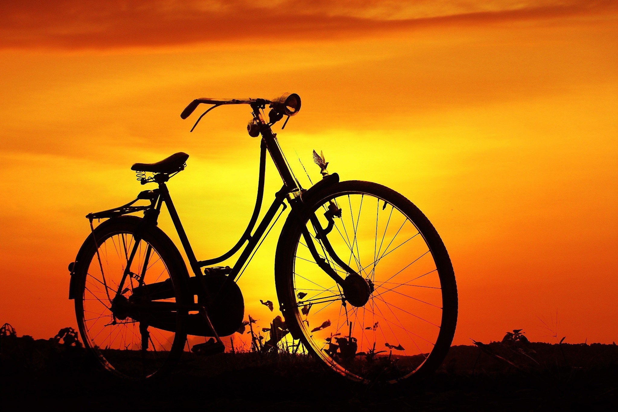 bicicletta background