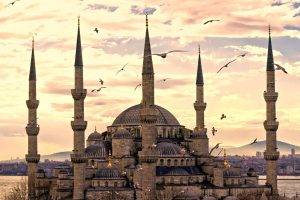 nature, Islam, Istanbul, Hagia Sophia