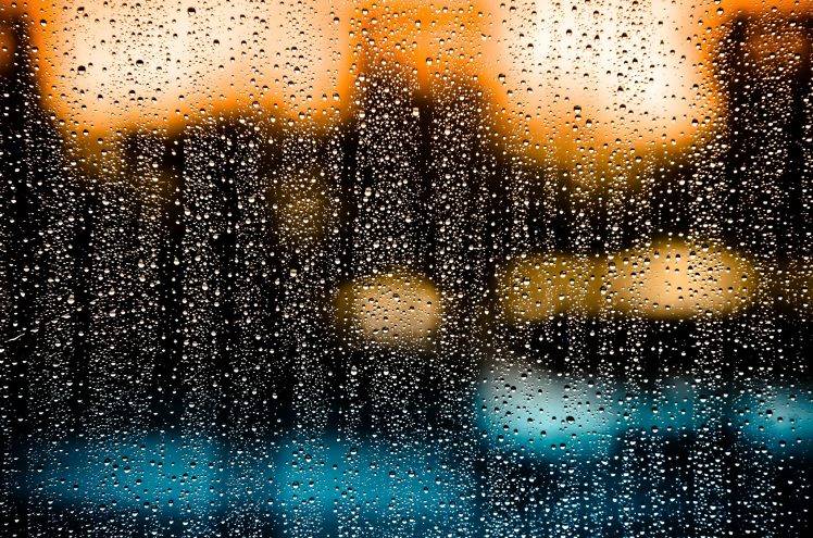 nature, Glass, Water Drops HD Wallpaper Desktop Background