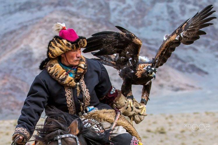 nature, Eagle, Mongolian HD Wallpaper Desktop Background