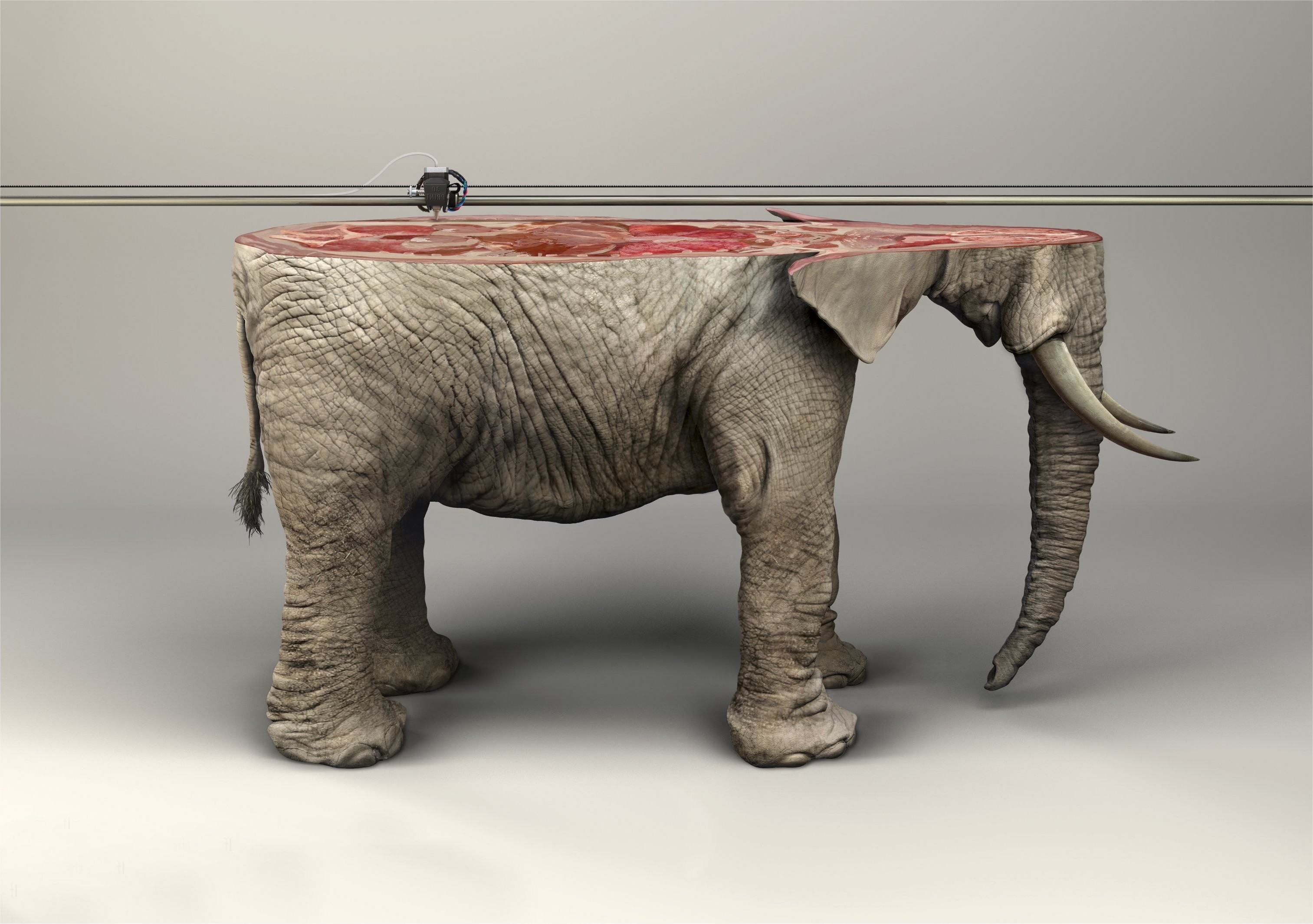 artwork, Animals, Digital Art, Elephants, 3d Object, 3d Printer, Skin, Photo Manipulation, Fangs, Simple Background, Wires, IFAW Wallpaper